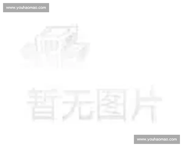 恒大亚冠激战全程直播最新赛事动态与精彩看点解析 恒大亚冠激战全程直播最新赛事动态与精彩看点解析